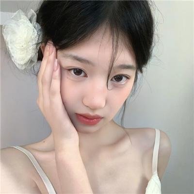 南极物语