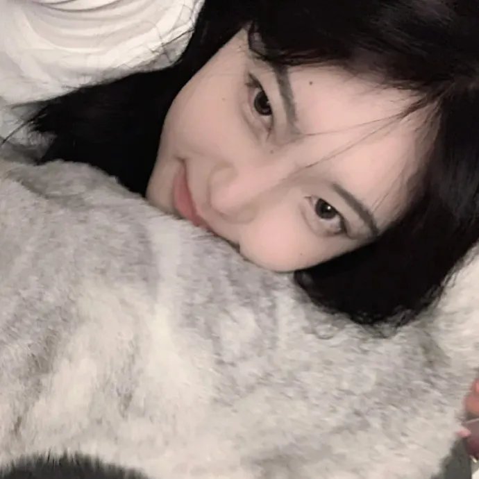 摄影师贝尔蒂与海豚零距离